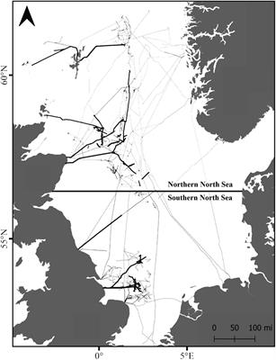 Benthic and Fish Interactions With Pipeline Protective Structures in the North Sea